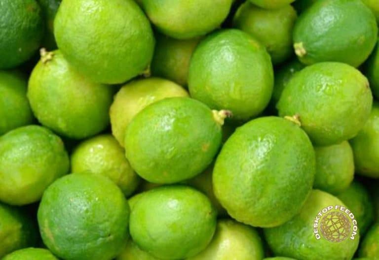 What You Should Know About Green Lemons