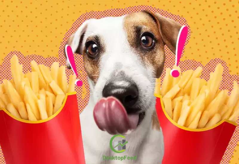 Can Dogs Eat French Fries