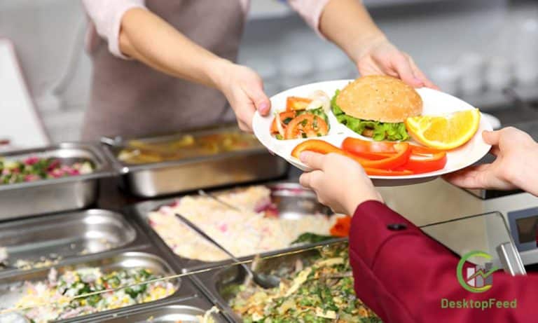 How To Start A Food Services Business: Things You Need To Know