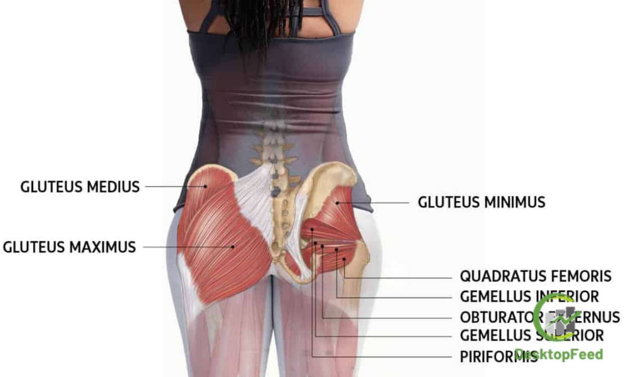 Signs your glutes are growing