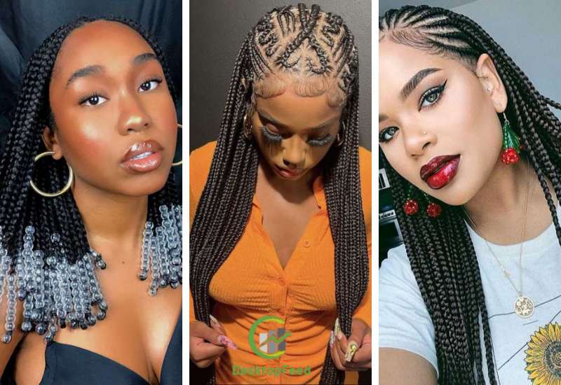 Fulani Braids